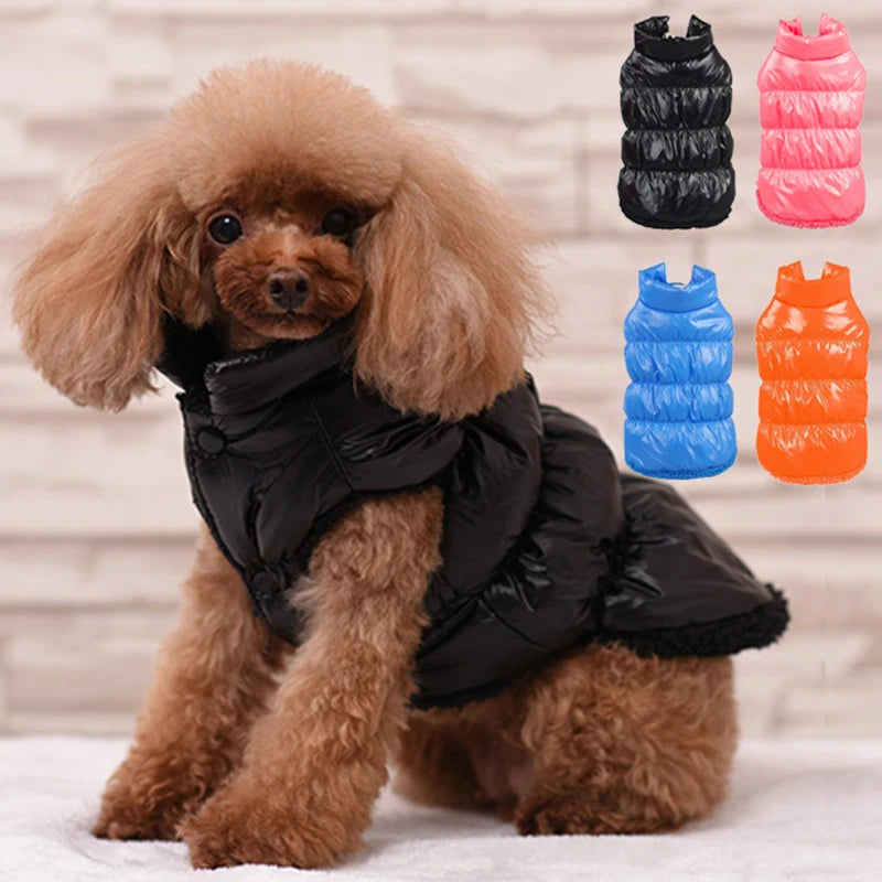 Winter Pet Jacket for Small Dogs