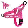 Personalized Tactical Harness