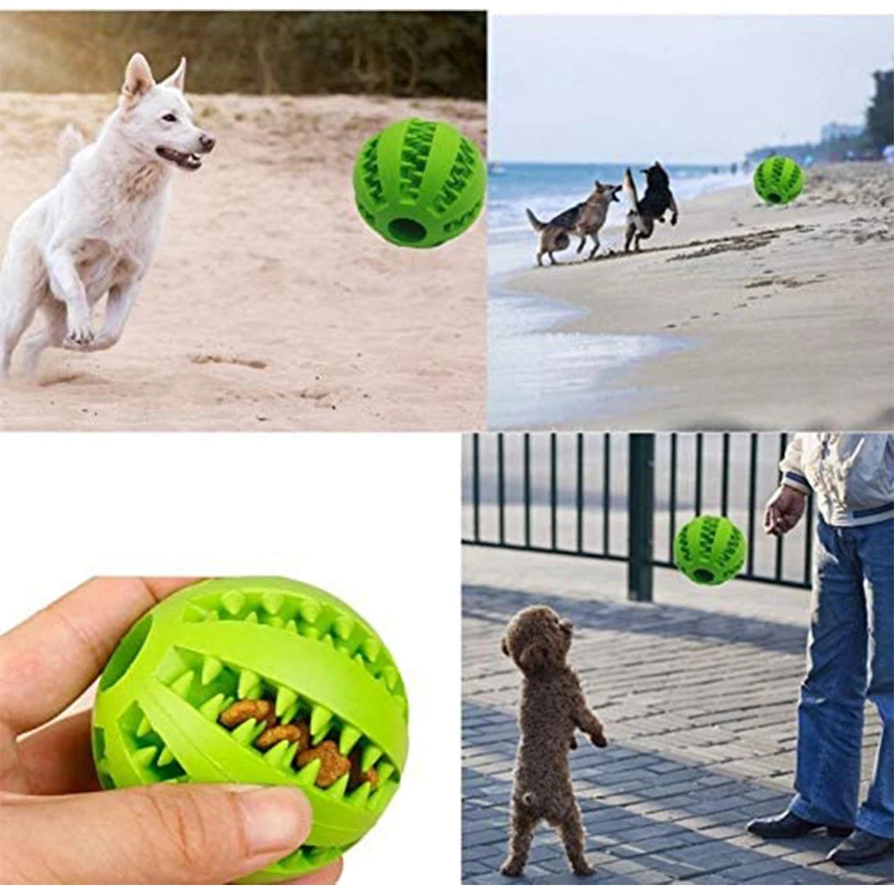 Interactive Rubber Balls for Pets