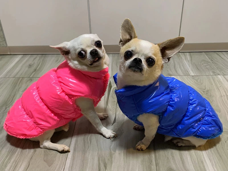 Winter Pet Jacket for Small Dogs