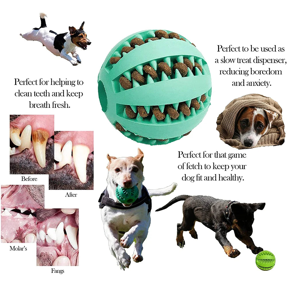 Interactive Rubber Balls for Pets