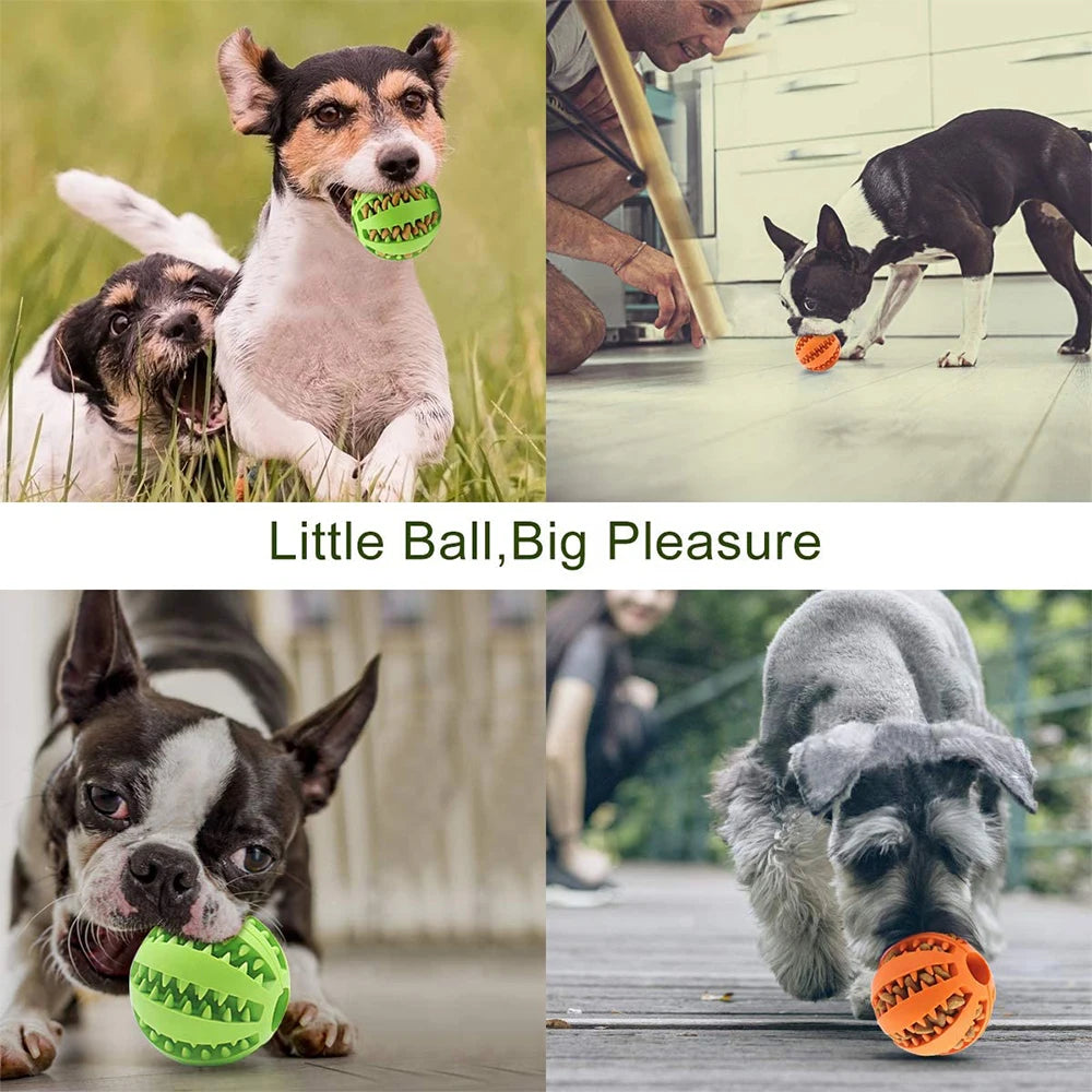 Interactive Rubber Balls for Pets