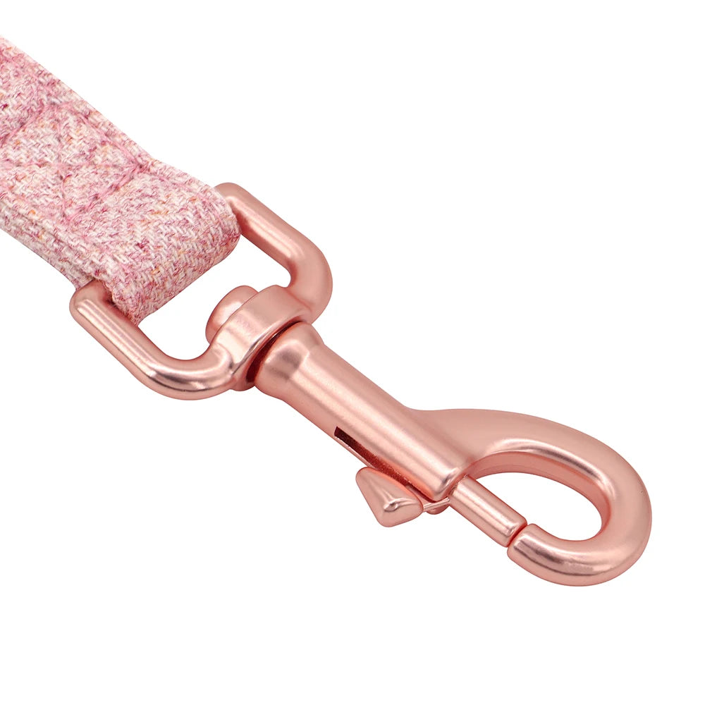 Personalized Dog Collar Nylon