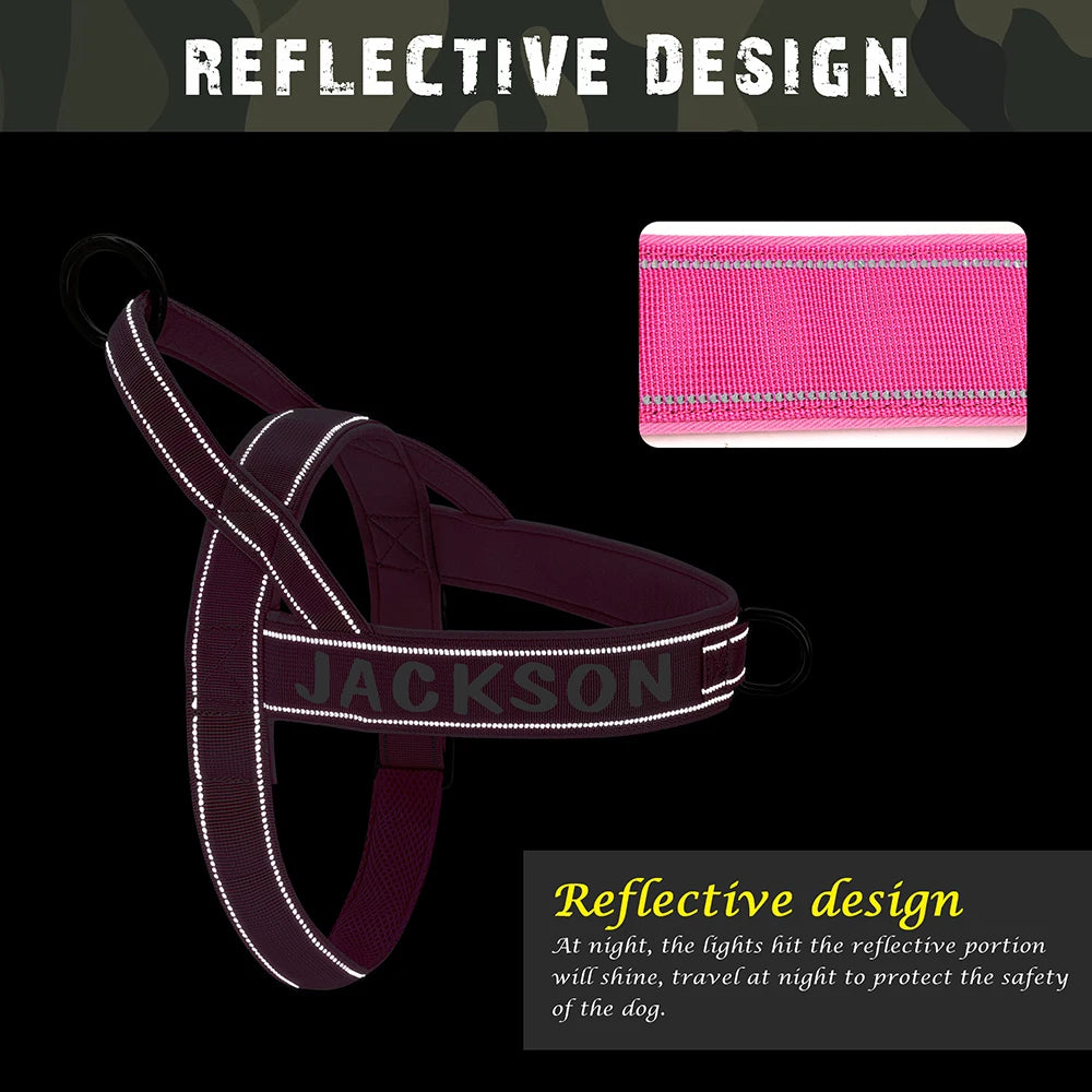Personalized Tactical Harness