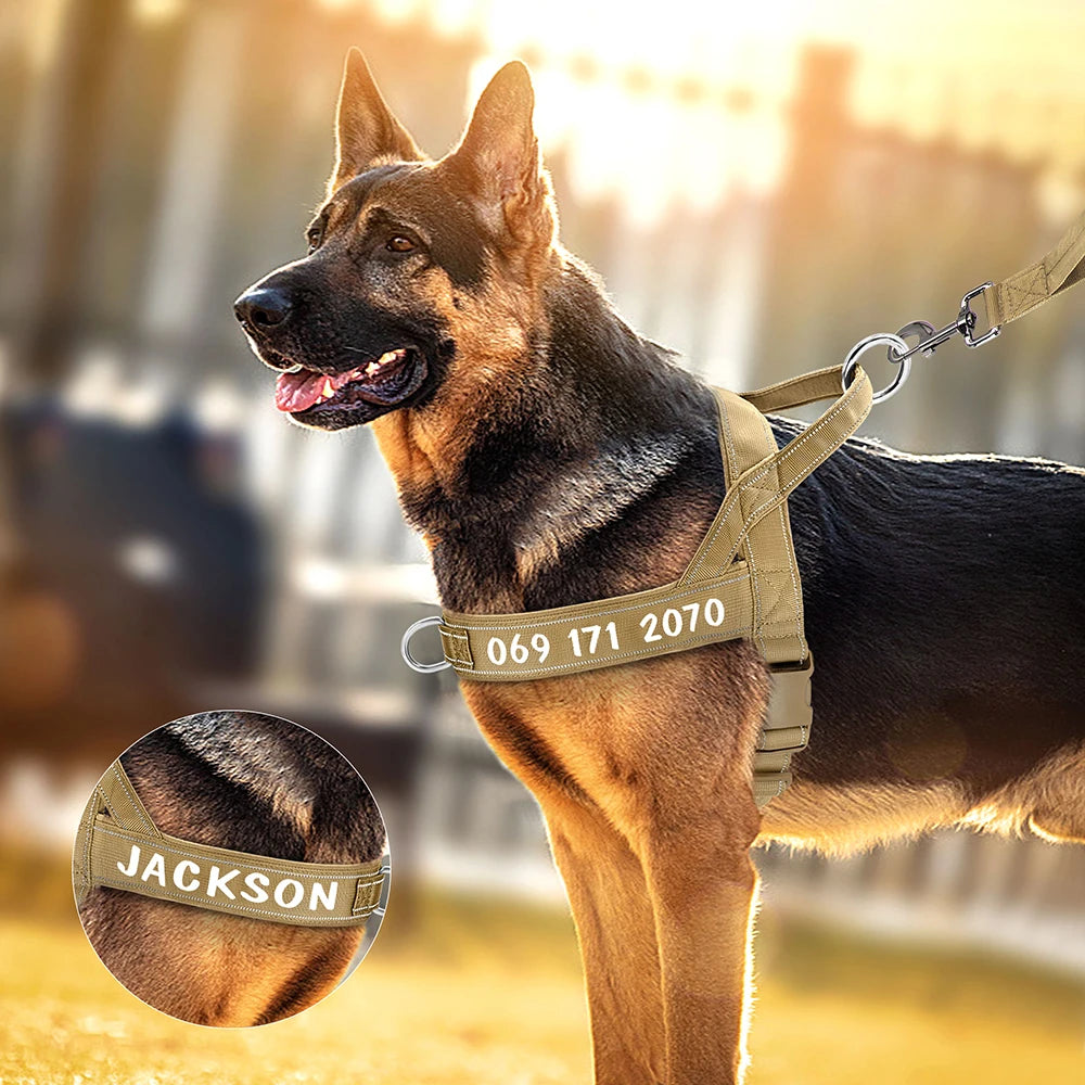Personalized Tactical Harness