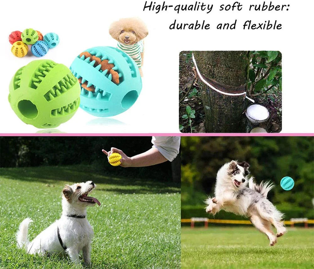 Interactive Rubber Balls for Pets