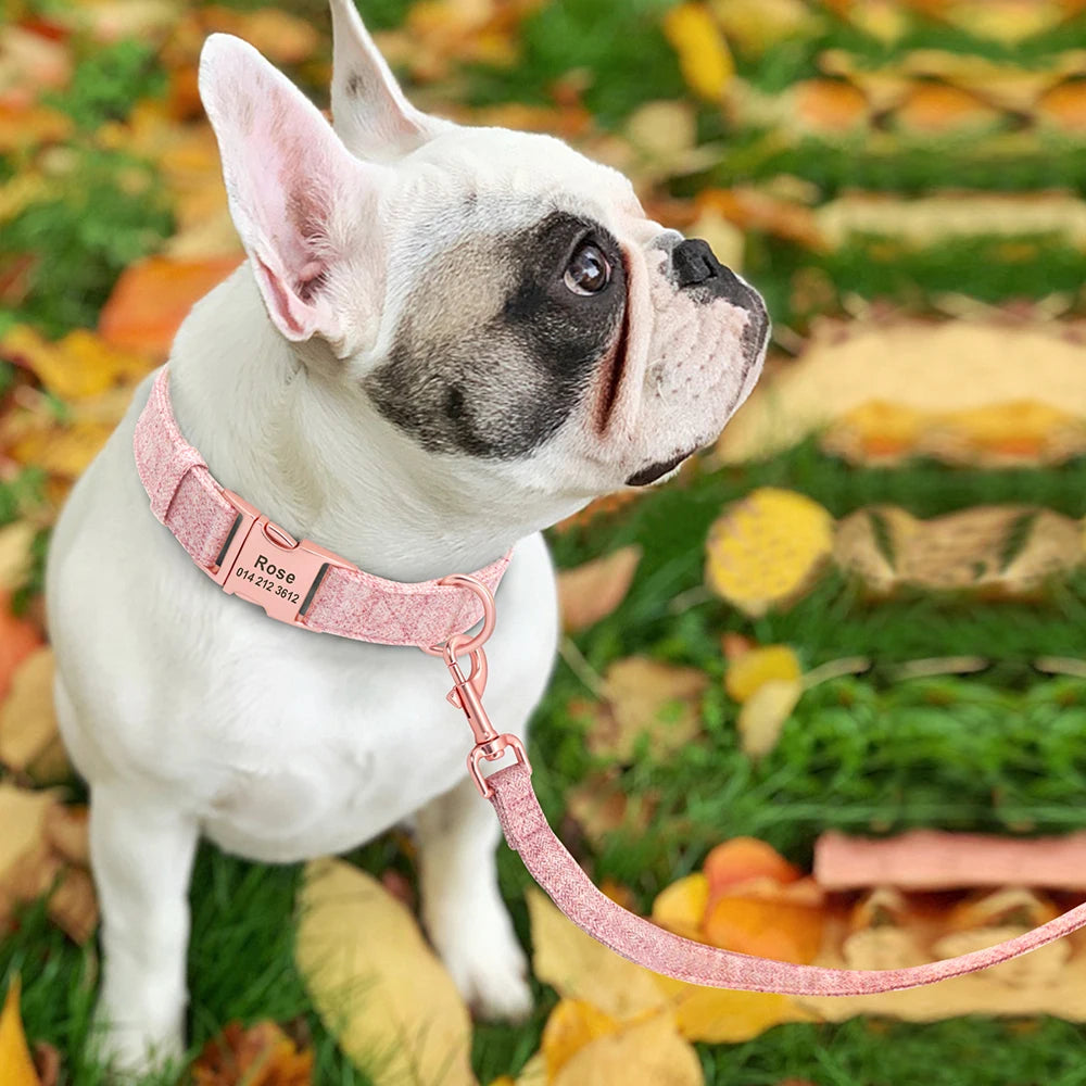 Personalized Dog Collar Nylon