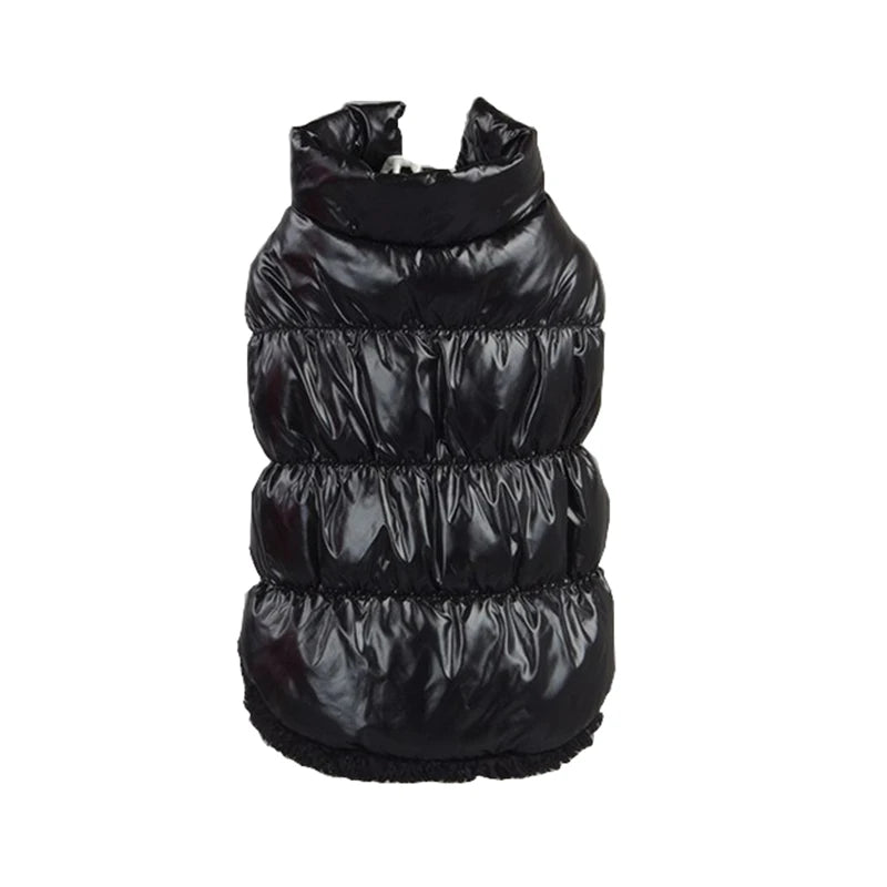 Winter Pet Jacket for Small Dogs