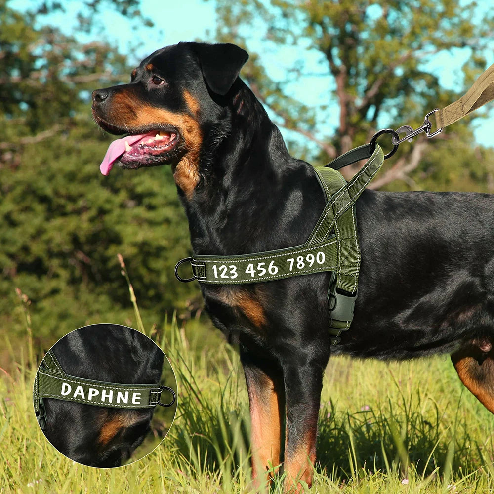 Personalized Tactical Harness