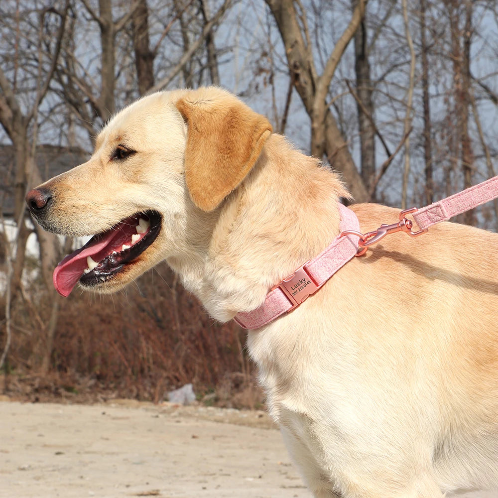 Personalized Dog Collar Nylon