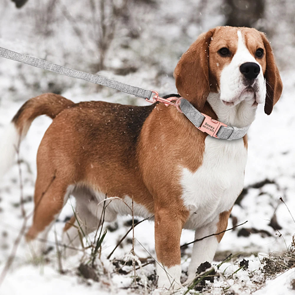 Personalized Dog Collar Nylon