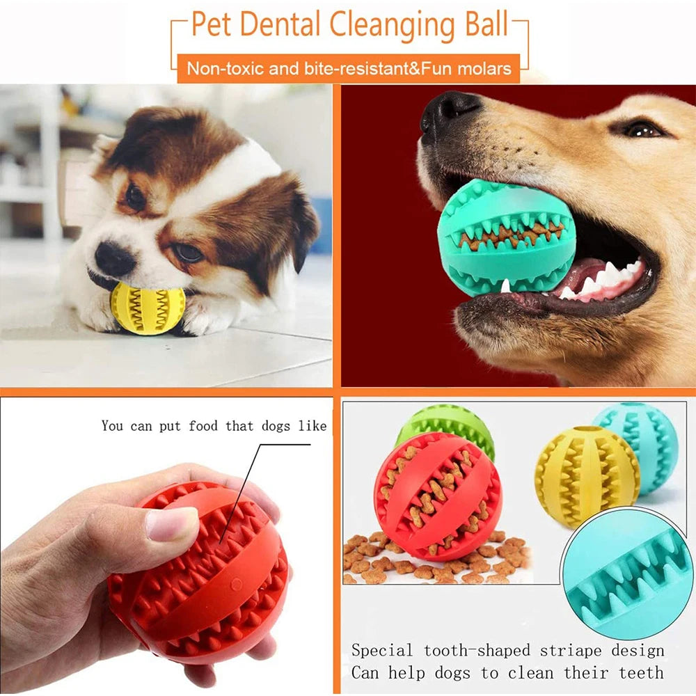 Interactive Rubber Balls for Pets