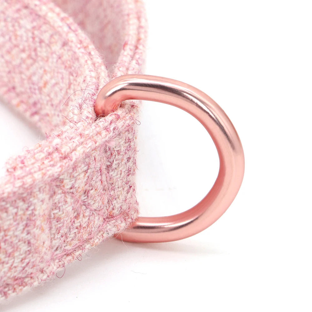Personalized Dog Collar Nylon