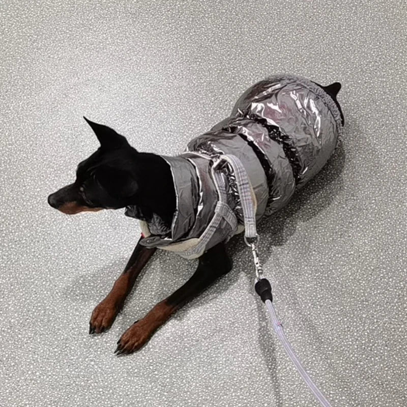 Winter Pet Jacket for Small Dogs