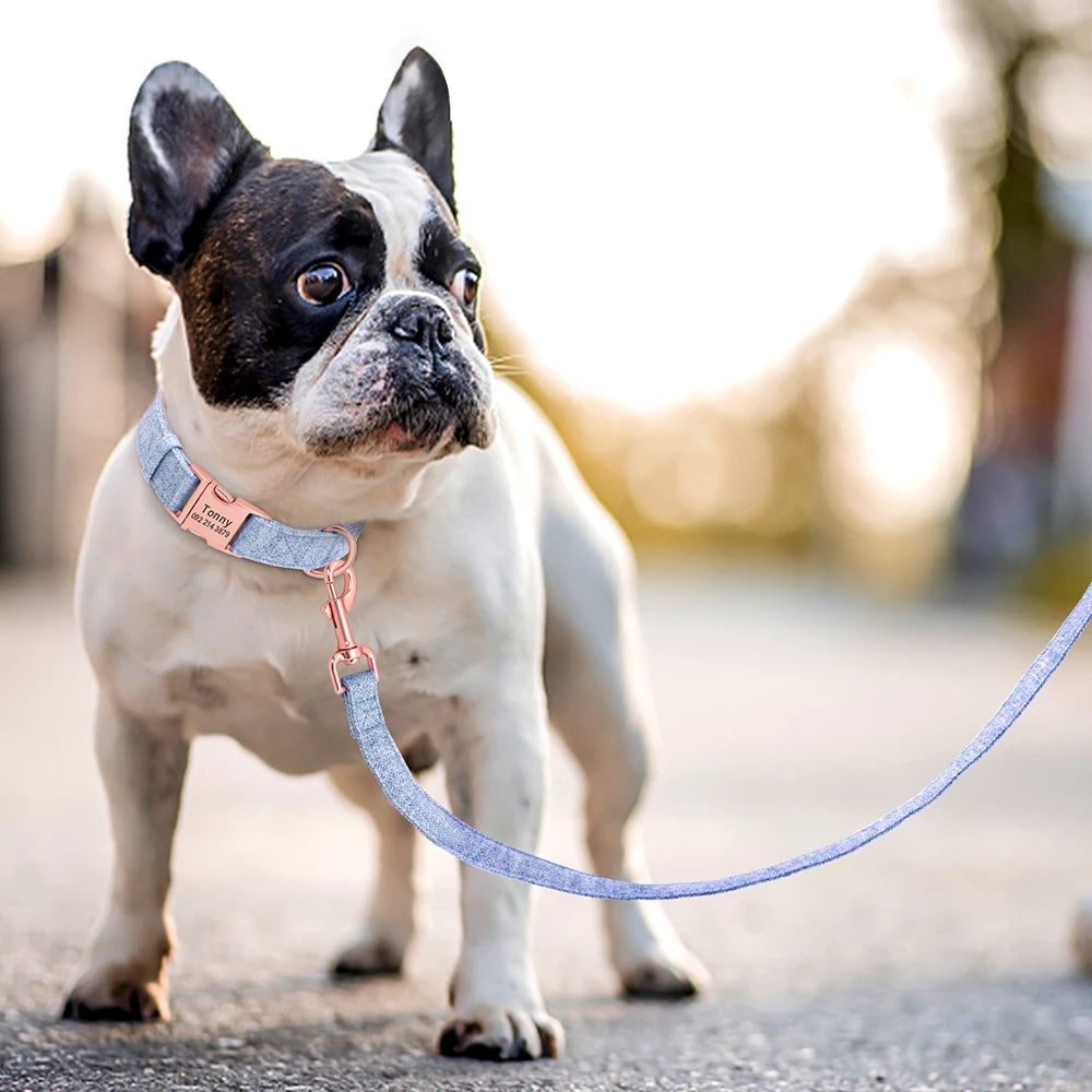 Personalized Dog Collar Nylon