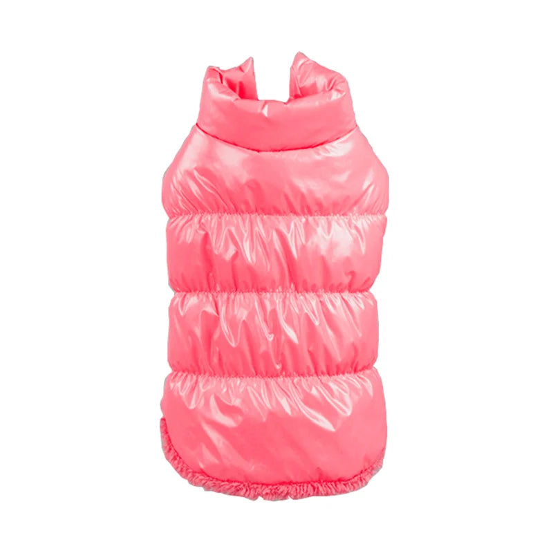 Winter Pet Jacket for Small Dogs