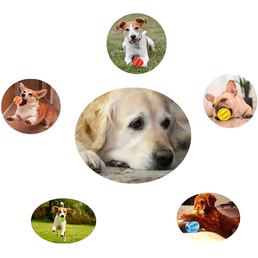 Interactive Rubber Balls for Pets