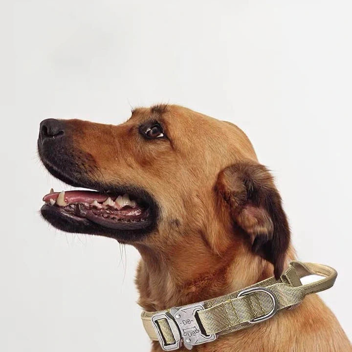 Reflective Tactical Dog Collar & Leash