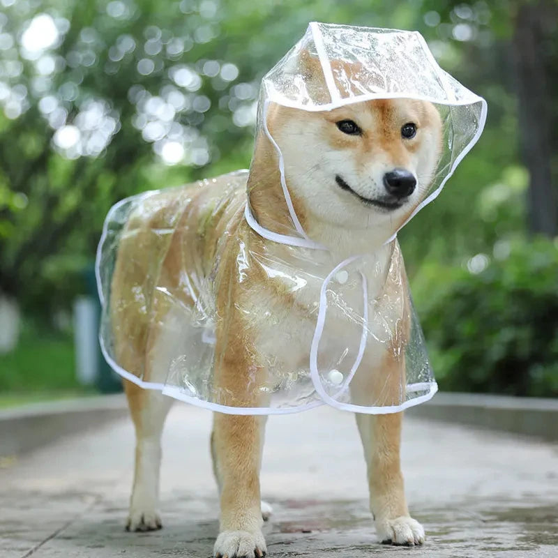 Transparent Raincoat Pet