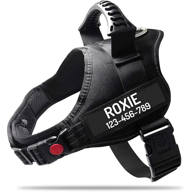 Custom Dog Harness