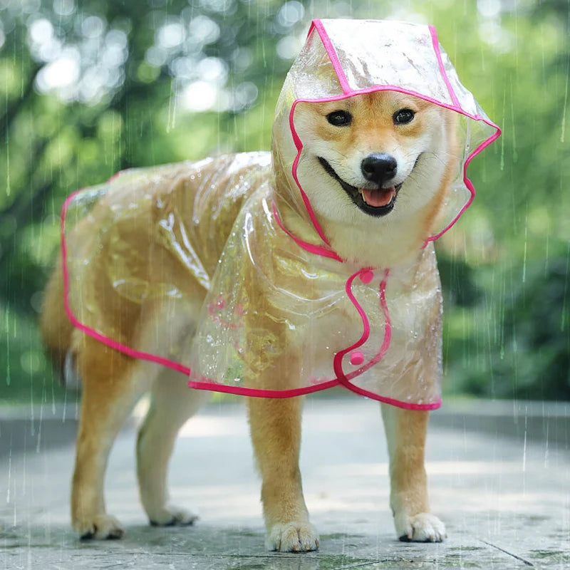 Transparent Raincoat Pet