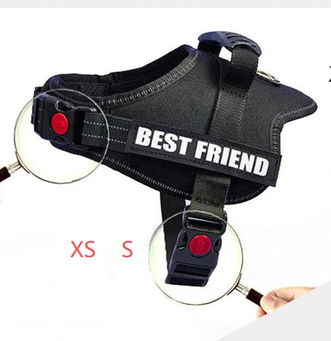 Custom Dog Harness