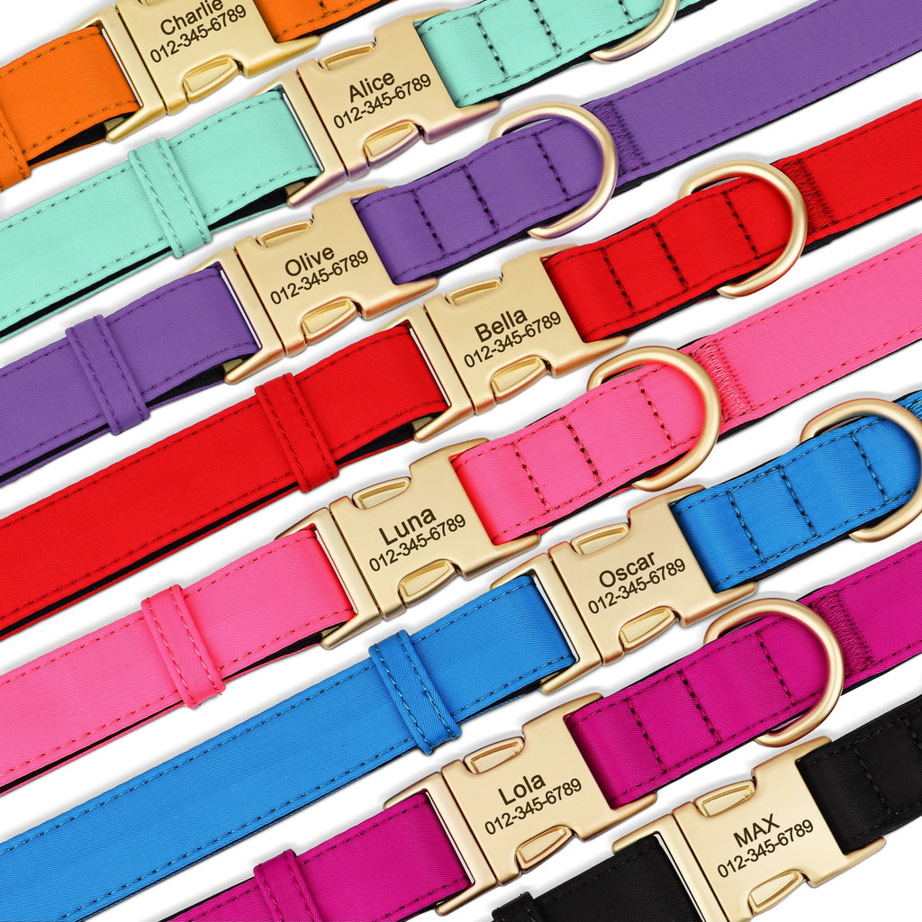 Personalized Dog Collar - Nylon