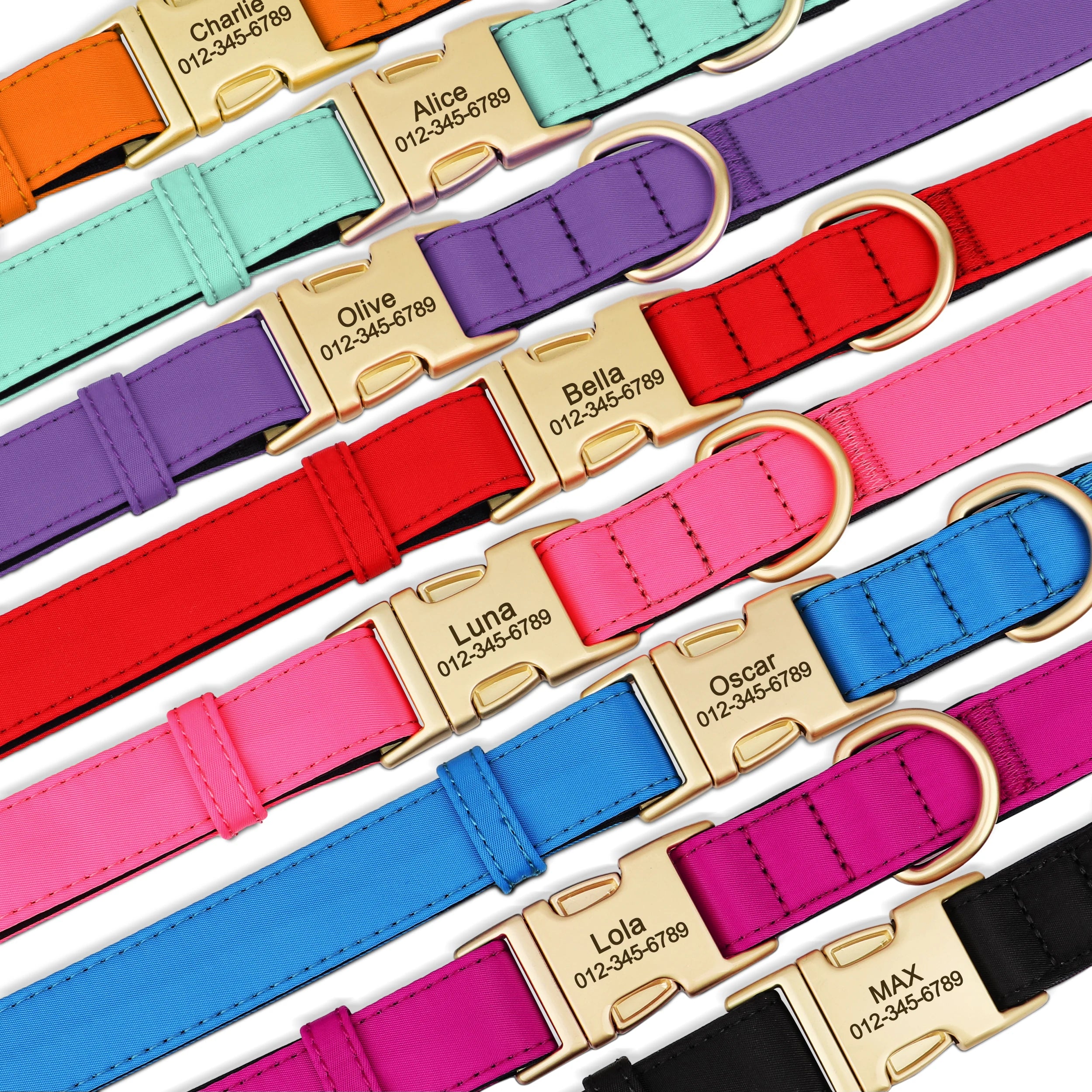Personalized Dog Collar - Nylon