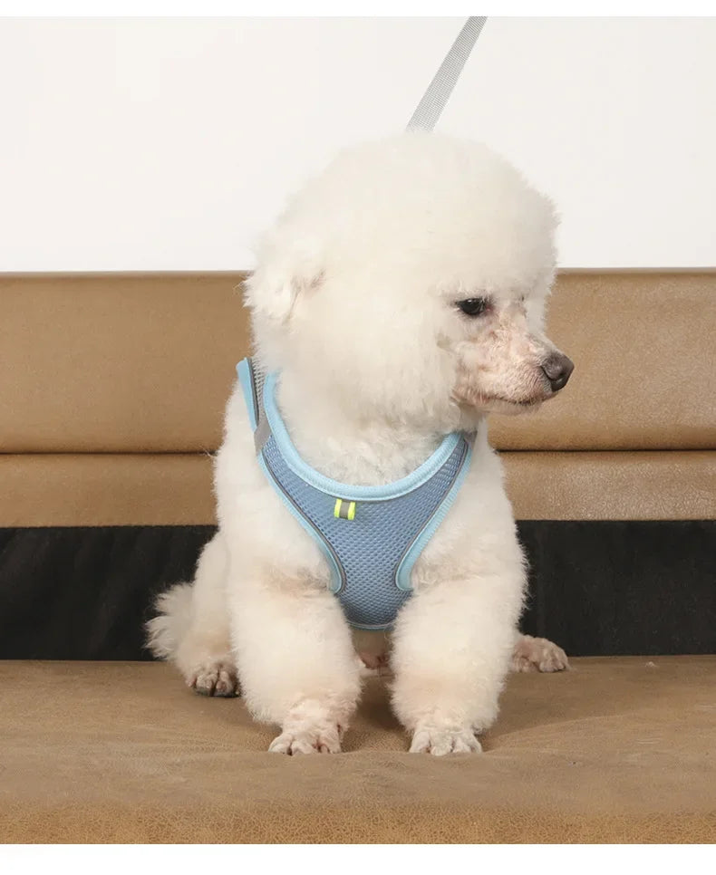 Pet Harness Set