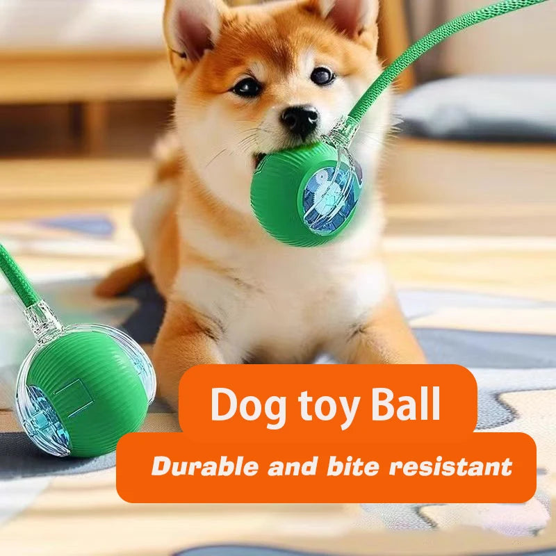 Interactive Dog Ball