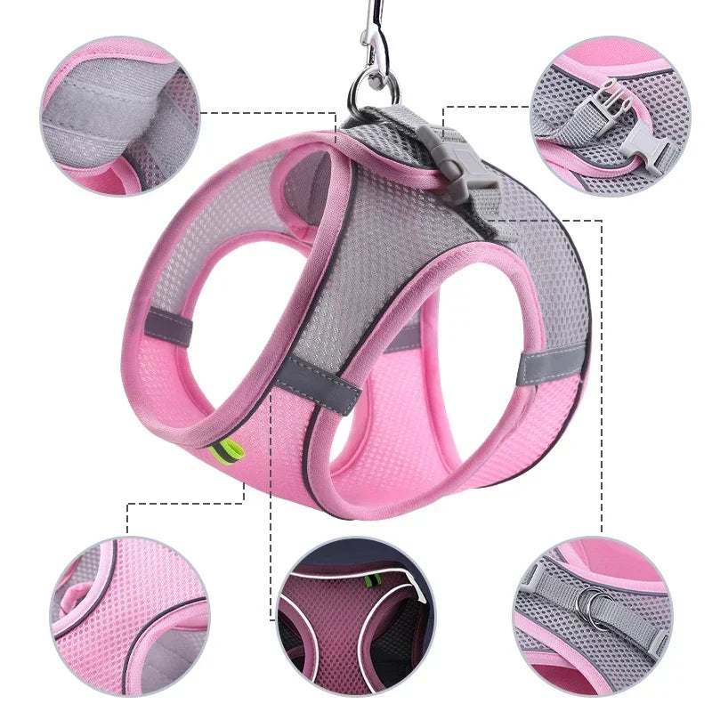 Pet Harness Set