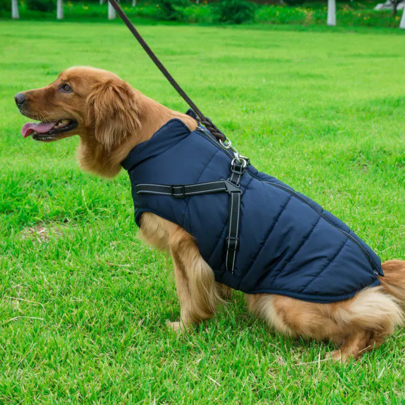 Waterproof Pet Jacket with Built-In Harness