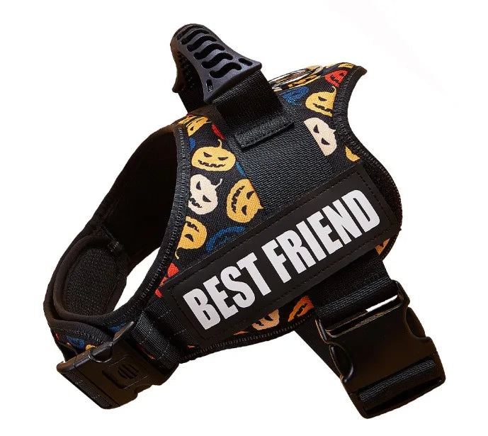 Custom Dog Harness