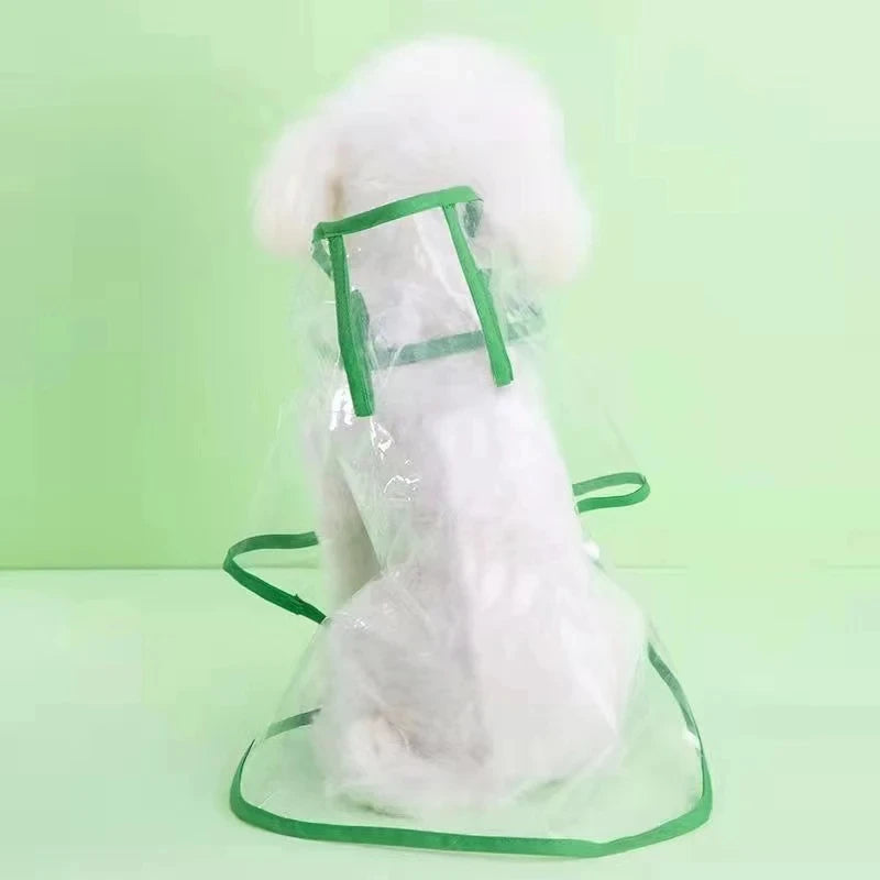 Transparent Raincoat Pet