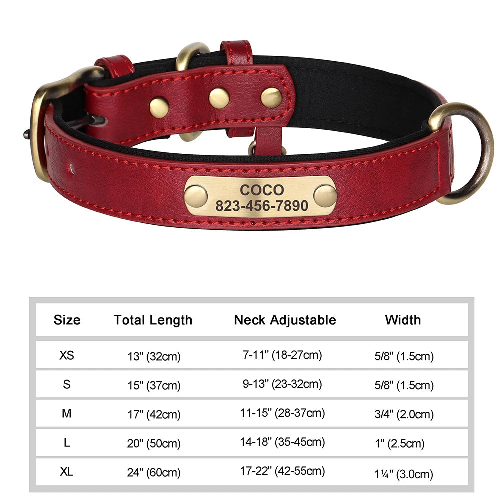 Personalized Dog Collar