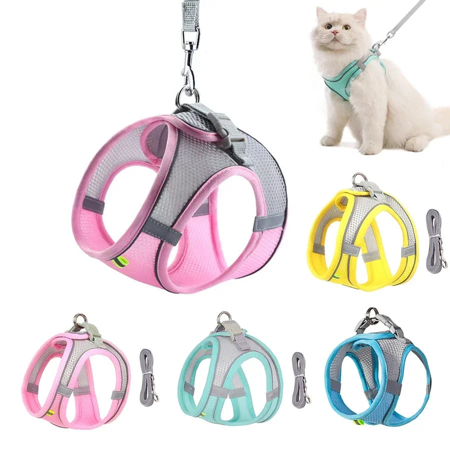 Pet Harness Set