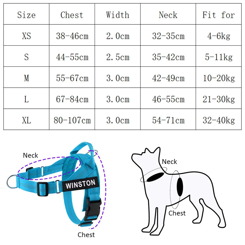 Personalized Dog Harness