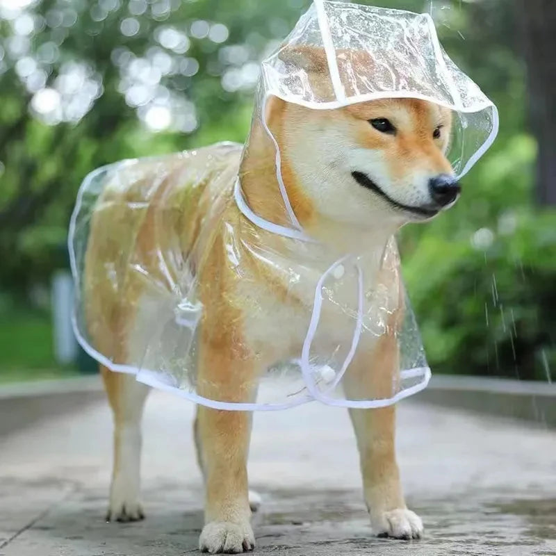 Transparent Raincoat Pet