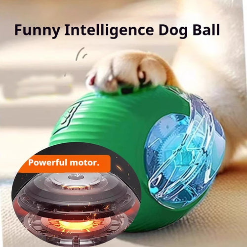 Interactive Dog Ball