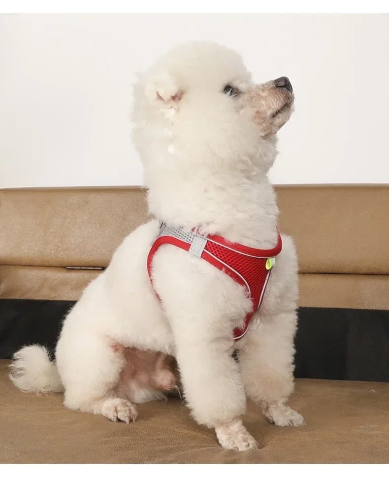 Pet Harness Set