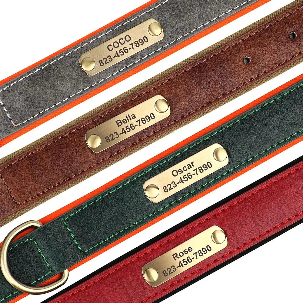 Personalized Dog Collar
