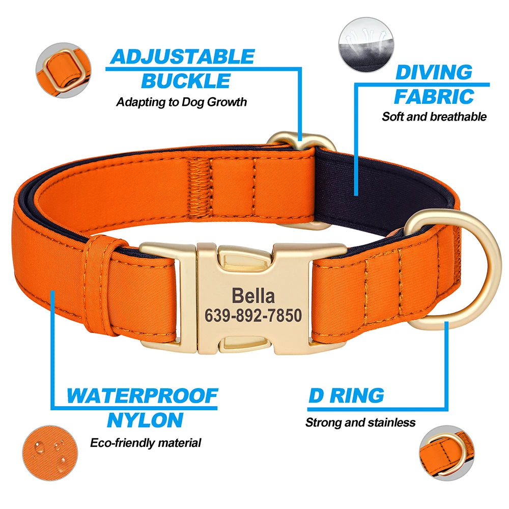 Personalized Dog Collar - Nylon