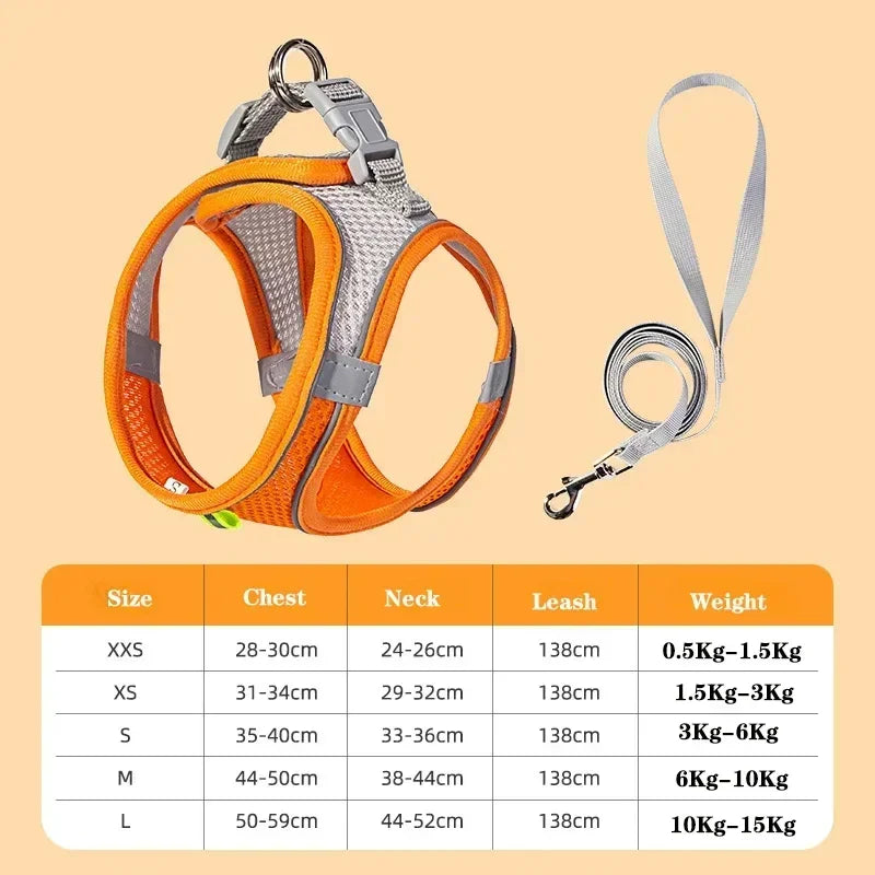 Pet Harness Set