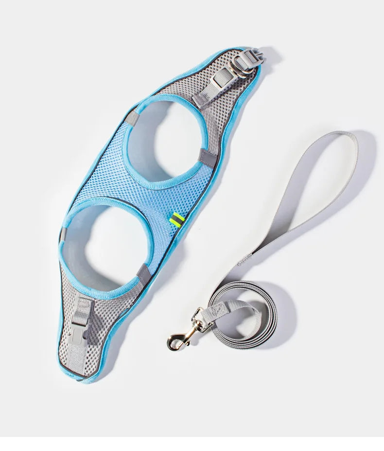 Pet Harness Set