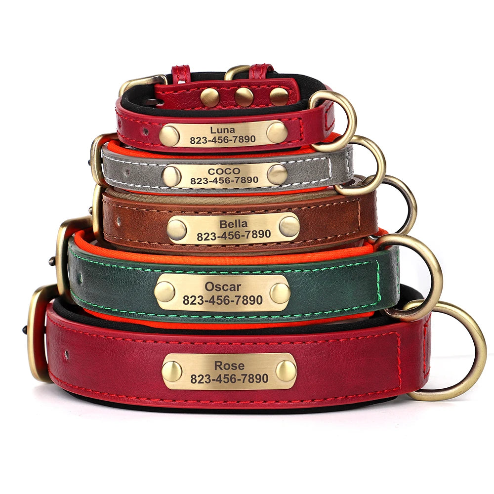 Personalized Dog Collar