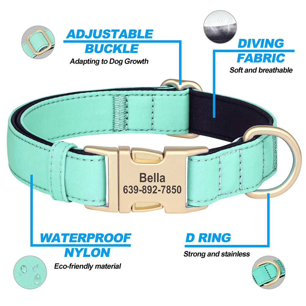 Personalized Dog Collar - Nylon
