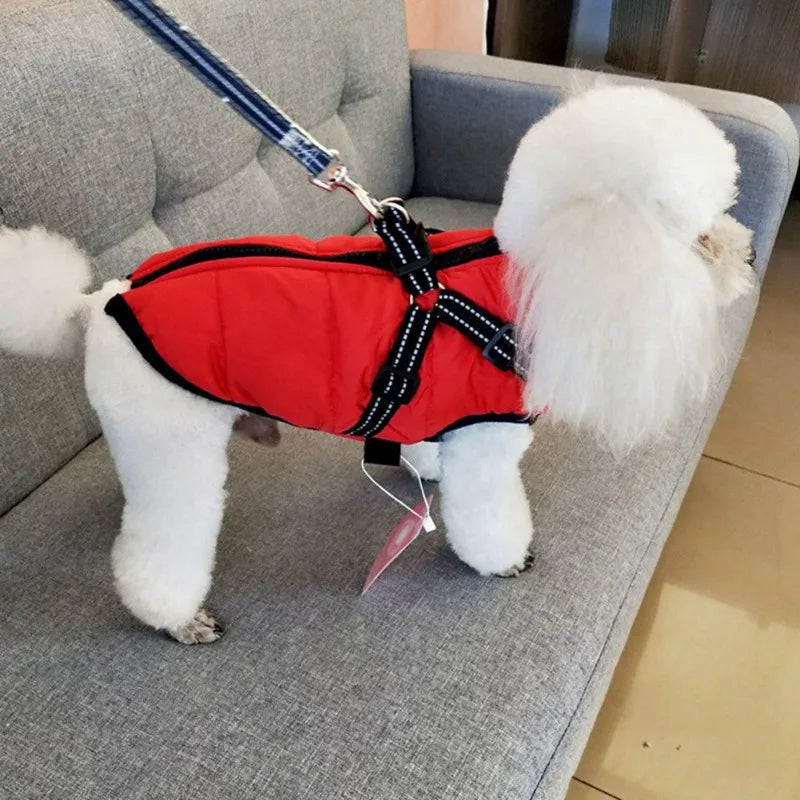 Waterproof Pet Jacket with Built-In Harness