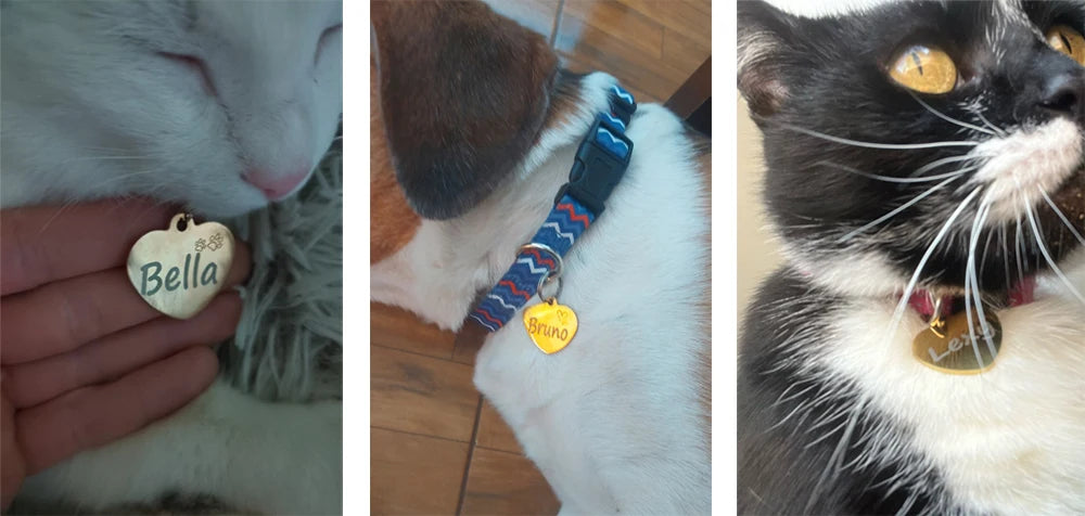 Dog ID Heart Tag
