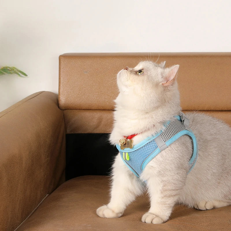 Pet Harness Set