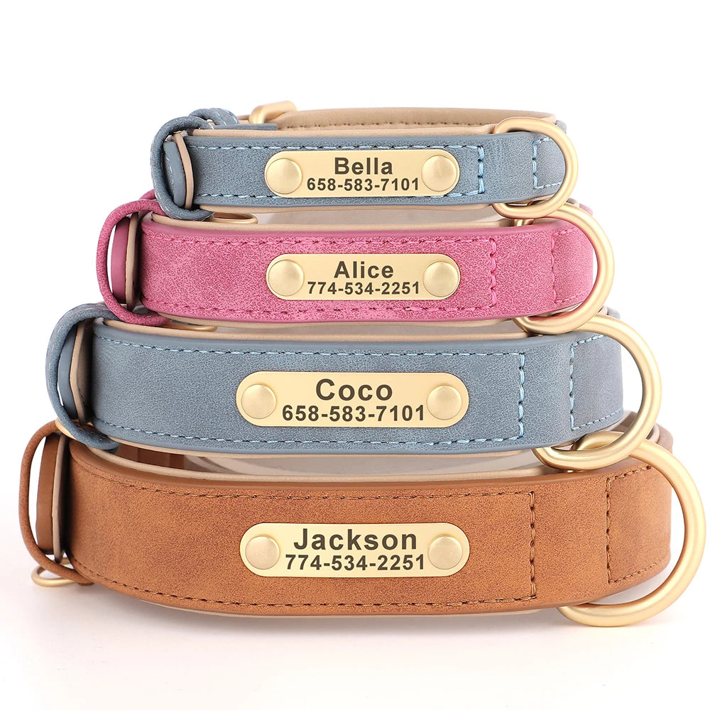 Personalized Dog Collar